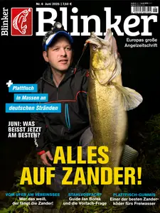 Blinker - Juni 2025