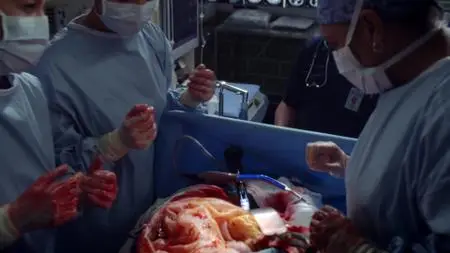 Grey's Anatomy S11E10