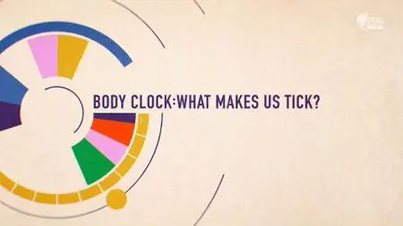 SBS - Body Clock: What Makes Us Tick? (2018)