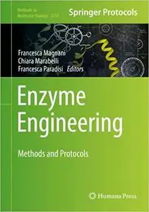 Enzyme Engineering