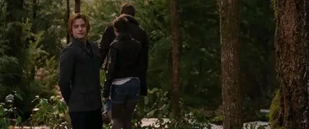 The Twilight Saga: Breaking Dawn - Part 2 / Twilight - Chapitre 5 : Révélation 2e partie (2012)