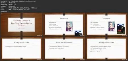 Anatomy Course I: Breaking Down Bones