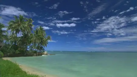 HDScape: HD Window - Hawaii (2005)