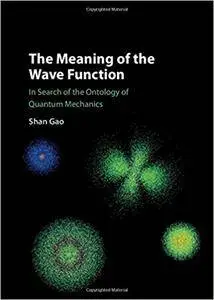 The Meaning of the Wave Function: In Search of the Ontology of Quantum Mechanics