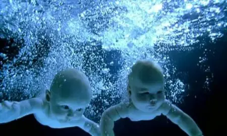 Discovery Channel - Nature of Sex Collection (2010)
