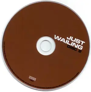 Various Artists - Just Wailing: 50 Masterpieces By 26 Blues Harmonica Heroes (2013) [2CD] {Fantastic Voyage}