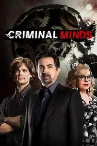 Criminal Minds S01E20