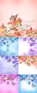 Stock Photo - Tropical Flowers