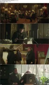 Mr. Turner (2014)