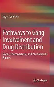 Pathways to Gang Involvement and Drug Distribution: Social, Environmental, and Psychological Factors