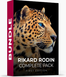 Rikard Rodin Complete Pack