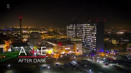 Dark S02E11