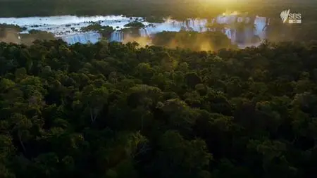 Brazil – A natural History (2015)
