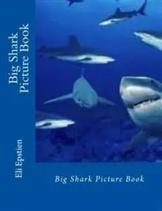 «Big Shark Picture Book» by Eli Epstien