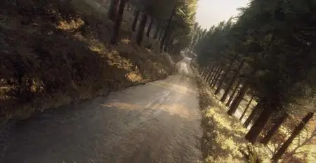 DiRT Rally 2.0 Colin McRae FLAT OUT (2020) Update v1.15.0