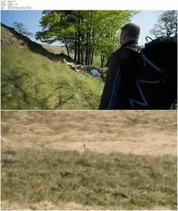 Iolo: The Last Wilderness of Wales (2020)