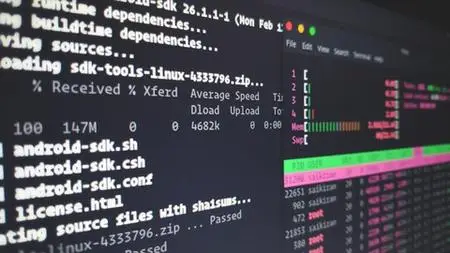 Terminal Linux ! Maîtrisez La Ligne De Commande Aujourd'Hui