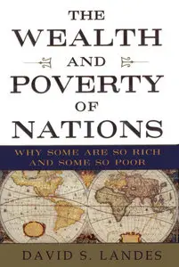 David S. Landes, "The Wealth and Poverty of Nations: Why Some Are So Rich and Some So Poor"