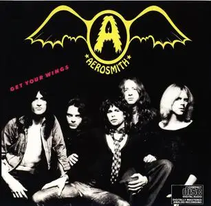 Aerosmith: Discography & Video (1973-2013) [21CDs, 18LPs, 13DVDs, Blu-ray]