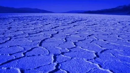 Blue Gold: World Water Wars (2009)