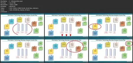 Information Technology Business Analysis - 2023