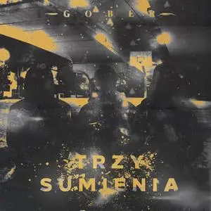 «Trzy sumienia» by Gober