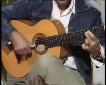 Juan Martin - La Guitarra Flamenca [repost]