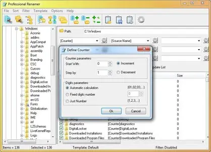 Professional Renamer 3.76