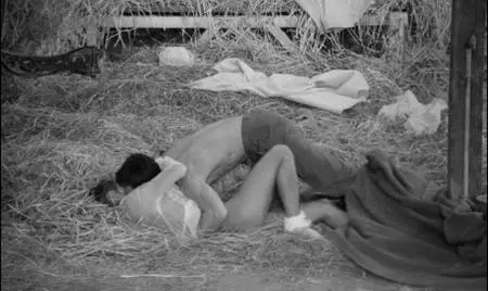 Goto, Isle of Love (1969)