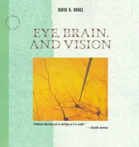 Eye, Brain and Vision (Repost)