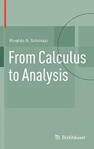 From Calculus to Analysis (Repost)