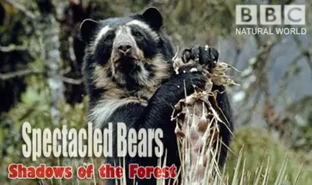 BBC Natural World: Spectacled Bears - Shadows of the Forest (2008)