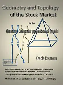 Geometry and Topology of the Stock Market: for the Quantum Computer Generation of Quants