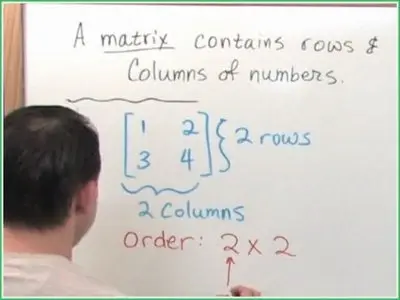 Math Tutor DVD - Matrix Algebra Help: The Matrix Algebra Tutor