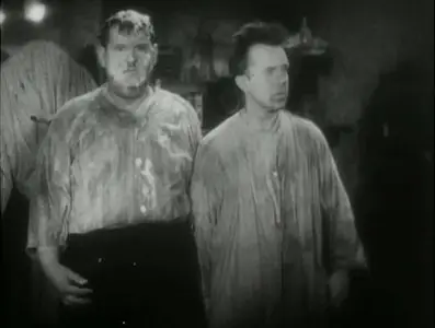 LAUREL & HARDY: Alle Hunde lieben Stan (1931)
