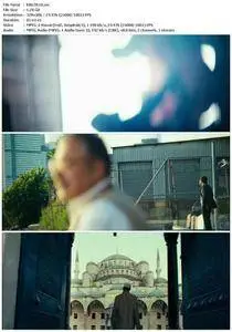 Five Minarets in New York (2010)