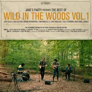 Jane's Party - The Best of Wild in the Woods, Vol. 1 (2023) [Official Digital Download]