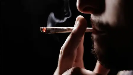 National Geographic - Drugged: High on Marijuana (2011)