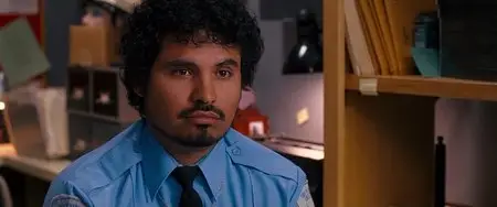 Observe and Report (2009)
