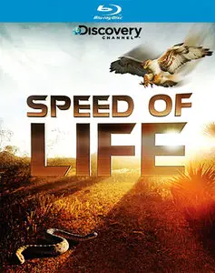 Speed of Life / Скорость Жизни (2010)