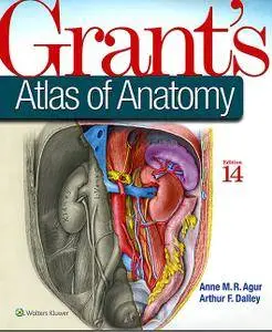 Grant's Atlas of Anatomy, 14th Edition  (Repost)