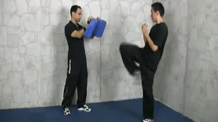 Elastic Steel - Everything You Ever Wanted To Know About a Front Kick [repost]