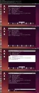 Linux Command Line Basics (Updated)