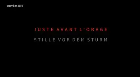 (Arte) Juste avant l'orage (2014)