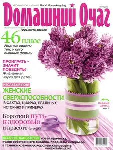 Домашний Очаг №2 (февраль 2010 / Украина)