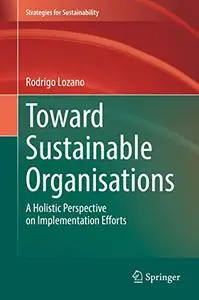 Toward Sustainable Organisations: A Holistic Perspective on Implementation Efforts (Strategies for Sustainability)