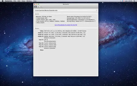 MediaInfo 0.7.81 Multilangual Mac OS X