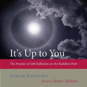 It's Up to You: The Practice of Self-Reflection on the Buddhist Path [Audiobook]