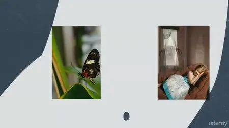 Udemy – Fun With Photography - A Course For Kids! (2015)