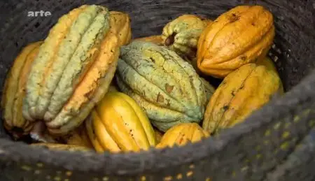 (Arte) Équateur, l'autre pays du chocolat (2012)